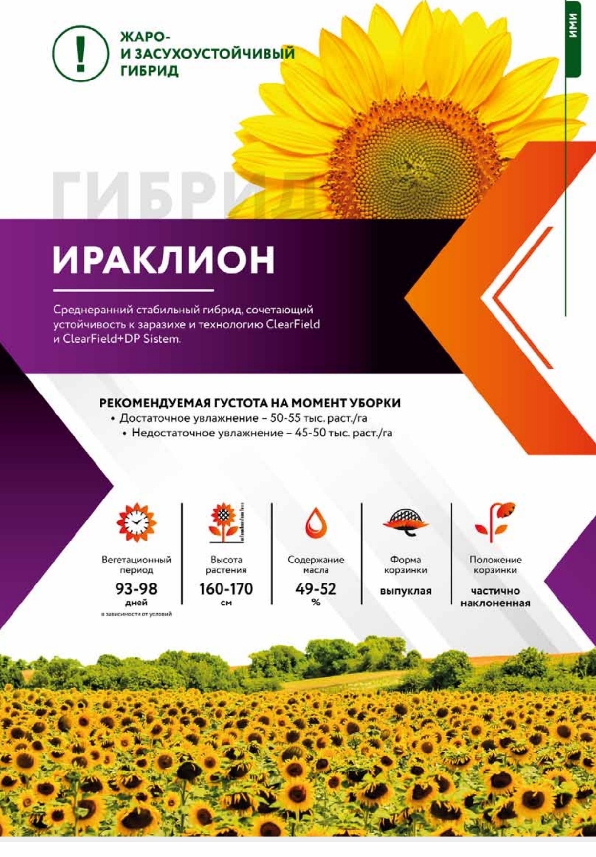 ираклион