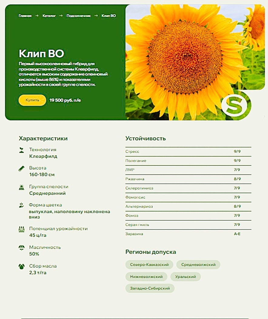 Клип описание