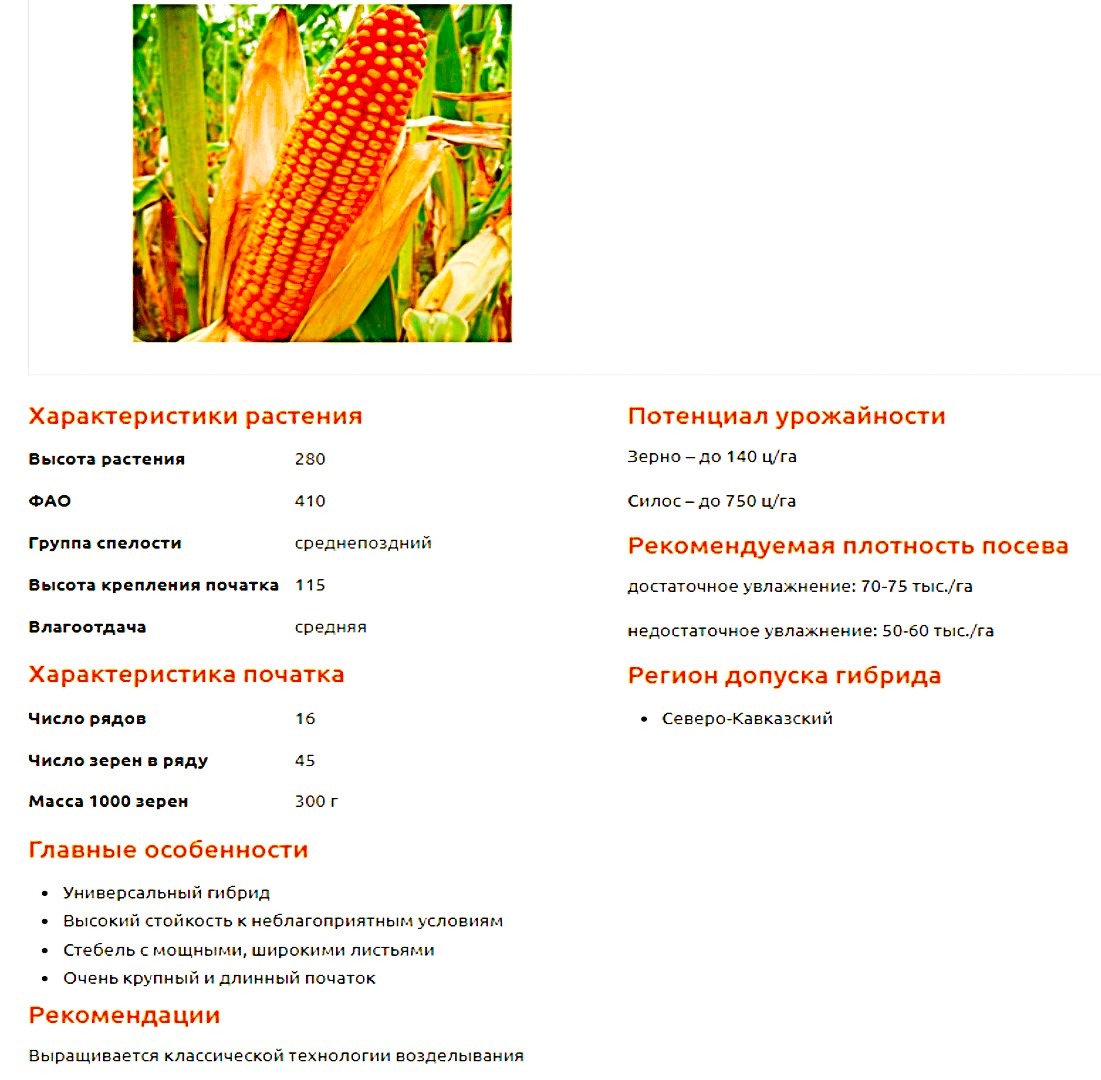 Ладожский 441 описание