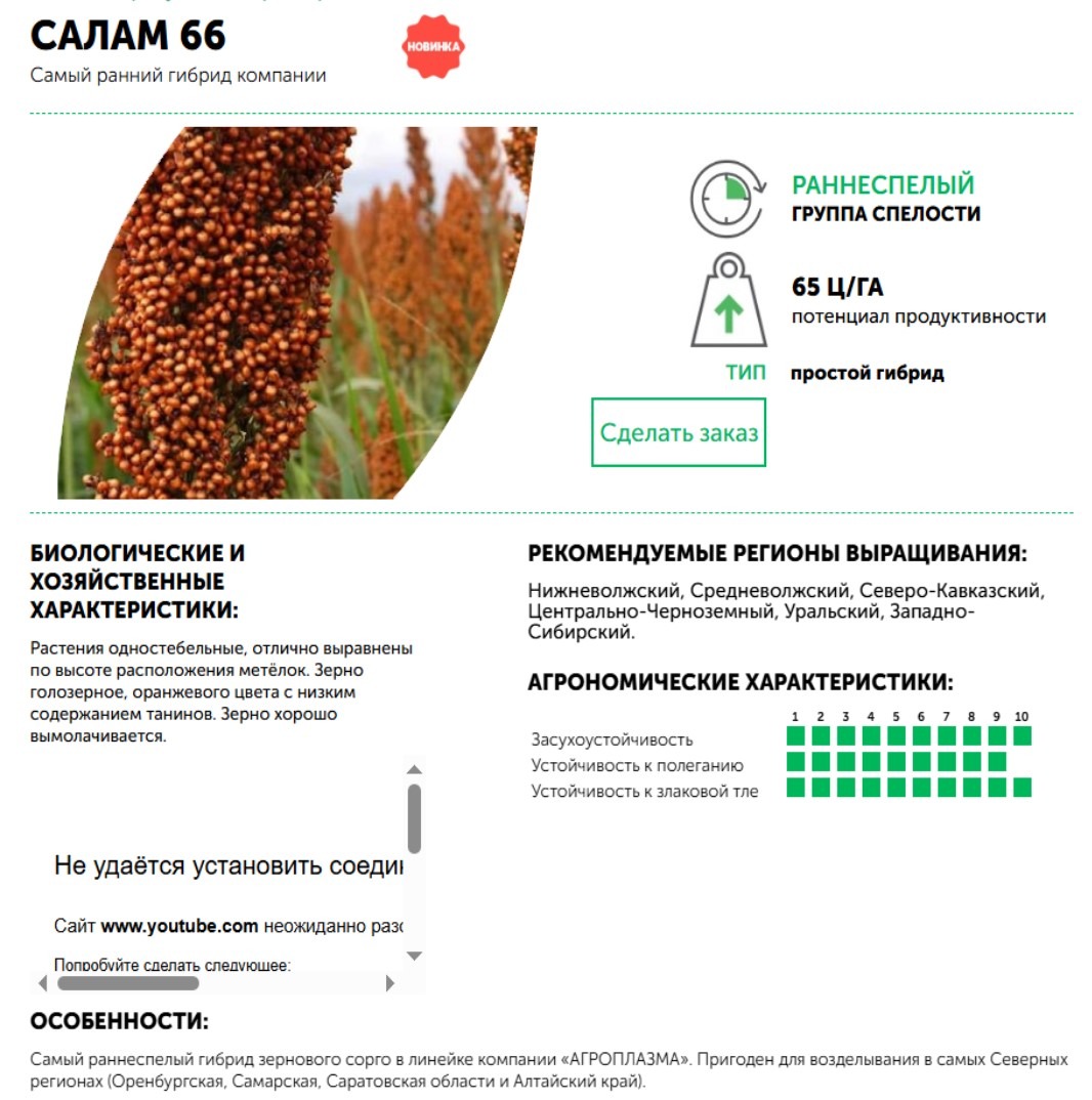 Салам 66 описание